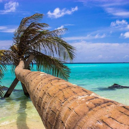 Ci-Ritorno View Hotel Maafushi Luaran gambar